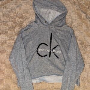 Calvin Klein Jeans Womens Cropped Gray Hoodie